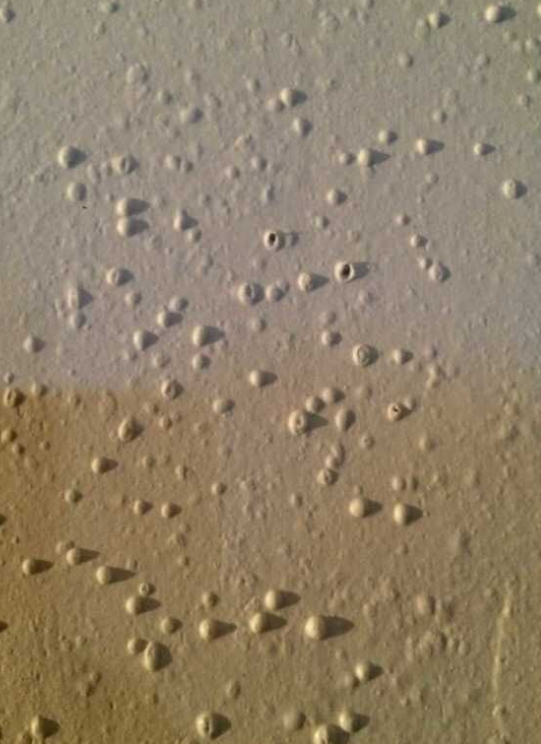 腻子粉起泡 腻子粉起泡